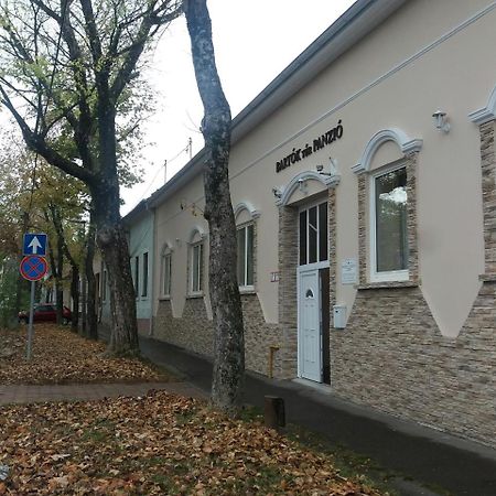 Bed and Breakfast Bartok Ter Panzio Еґер Екстер'єр фото